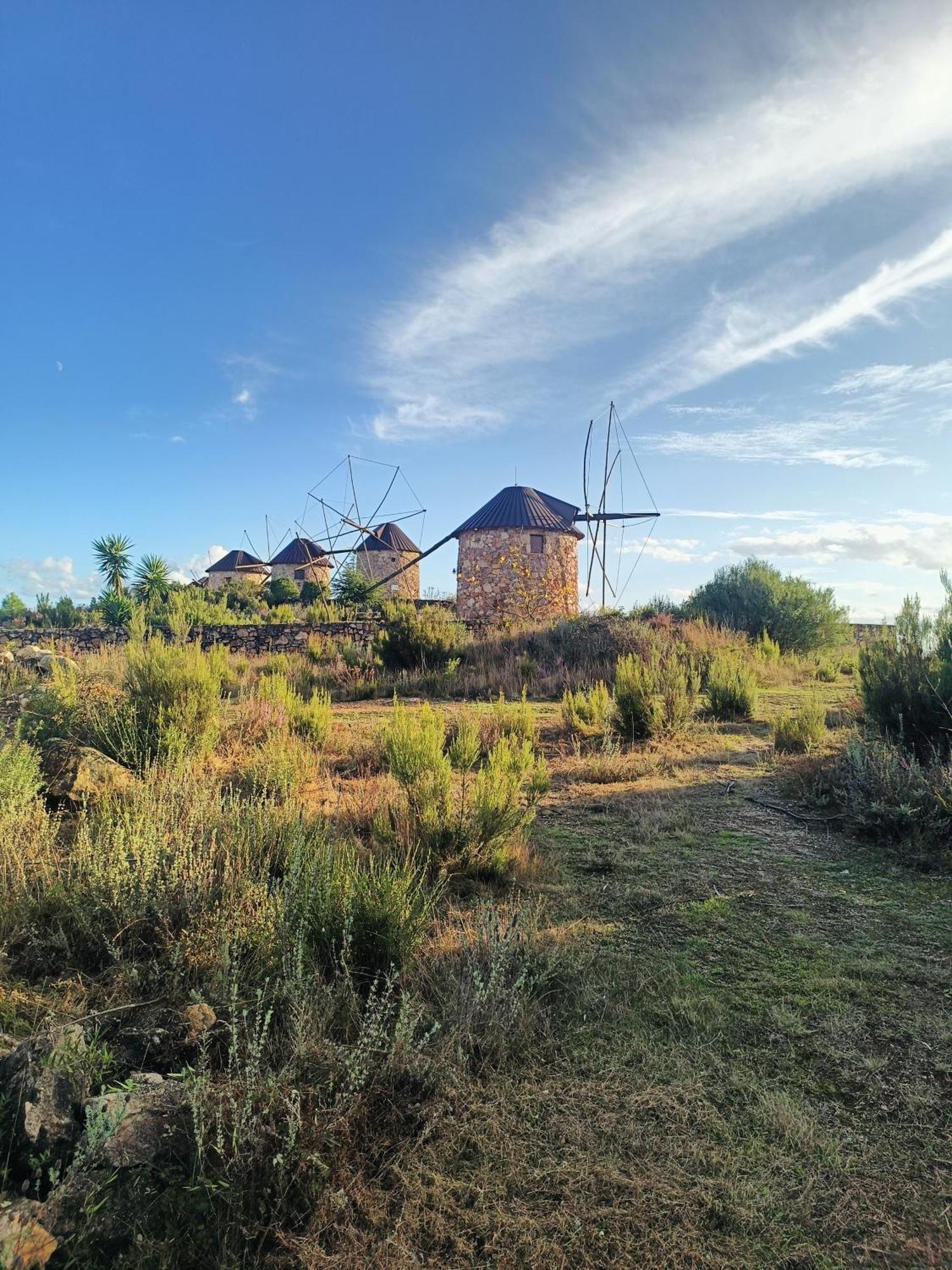 Villa Moinho Da Alfazema à Penacova Extérieur photo